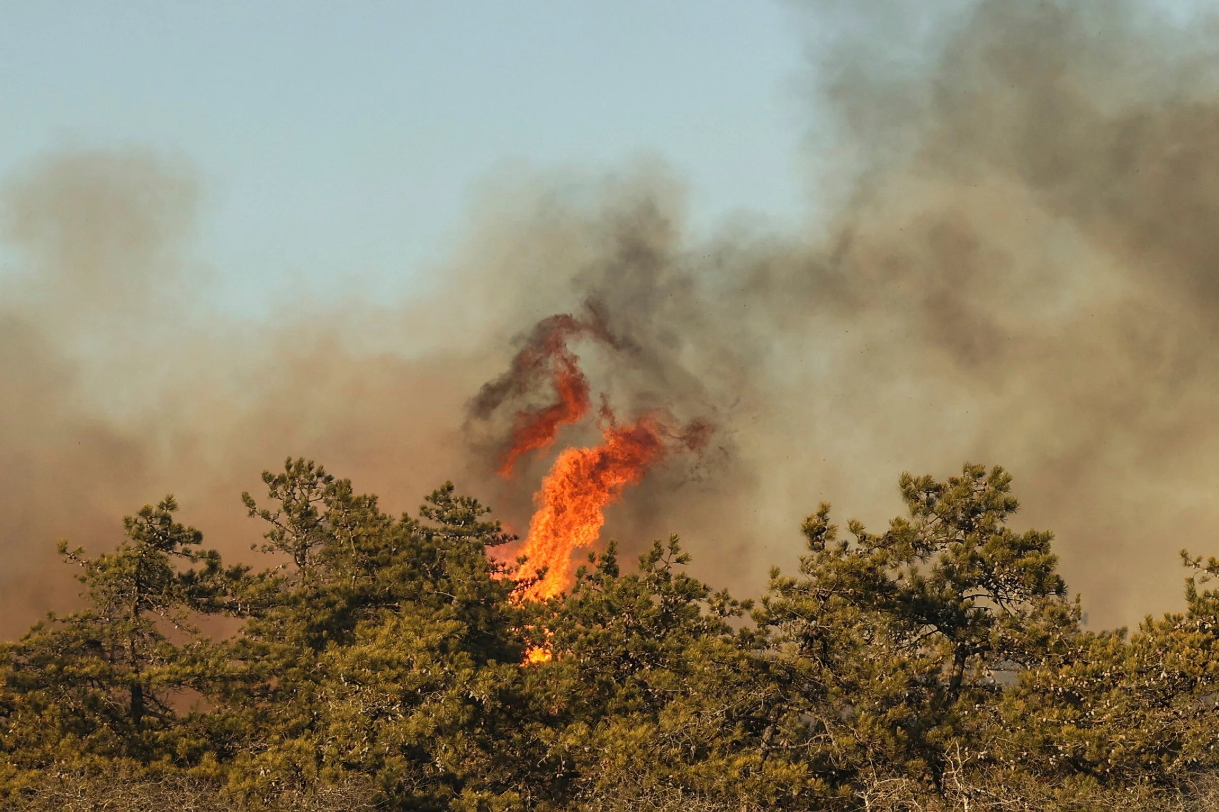 Long Island brush fires were caused by a resident trying to make s’mores