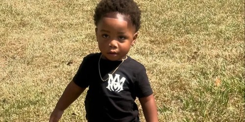 Babysitter charged with murder after 2-year-old boy was mauled to death by dogs