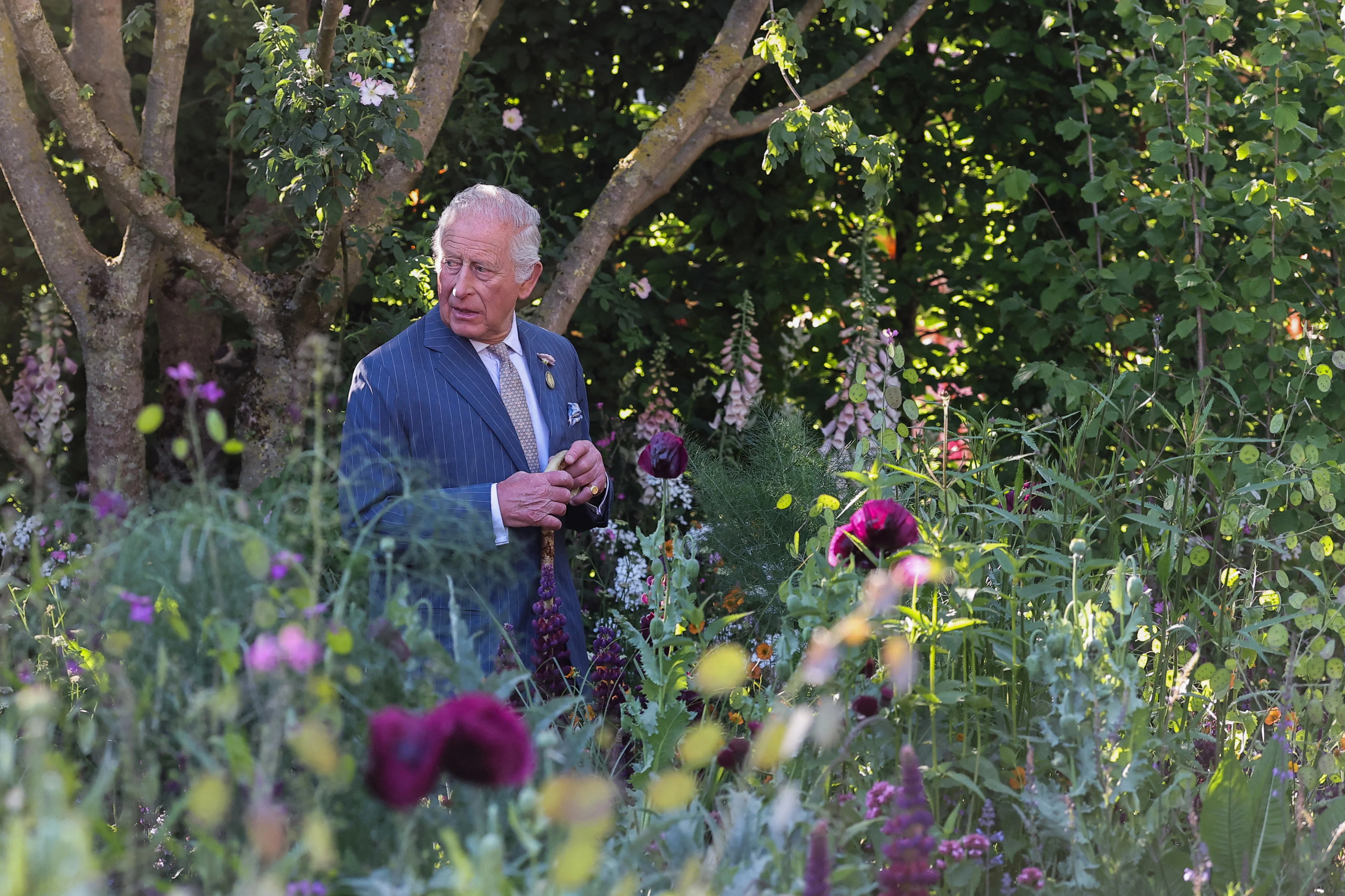 Royals and celebrities to enjoy sneak peak of Chelsea Flower Show – including quirky garden gnomes
