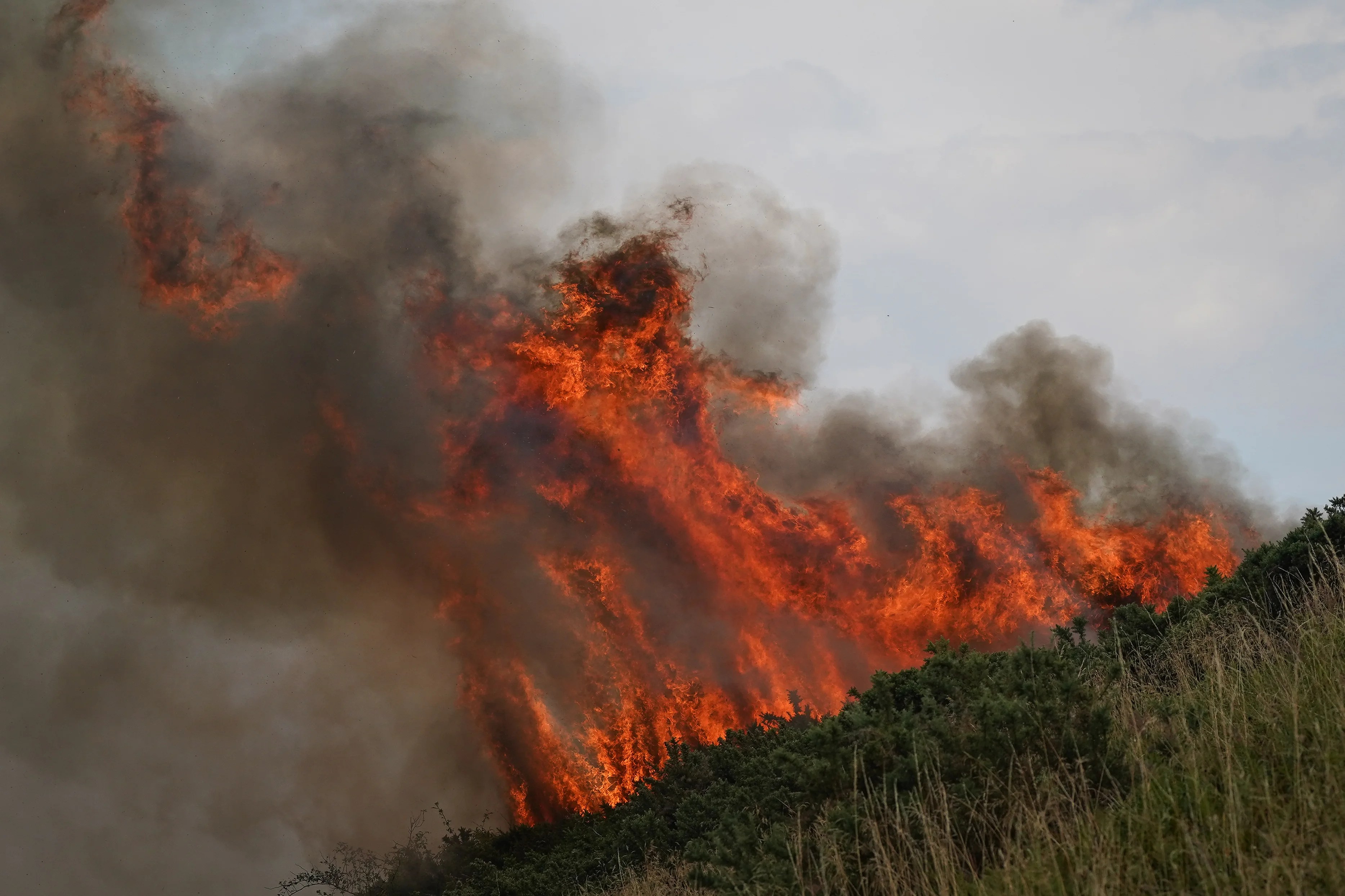 UK heatwave: Expert warns of ‘extreme wildfire scenario’ with temperatures set to reach 39C
