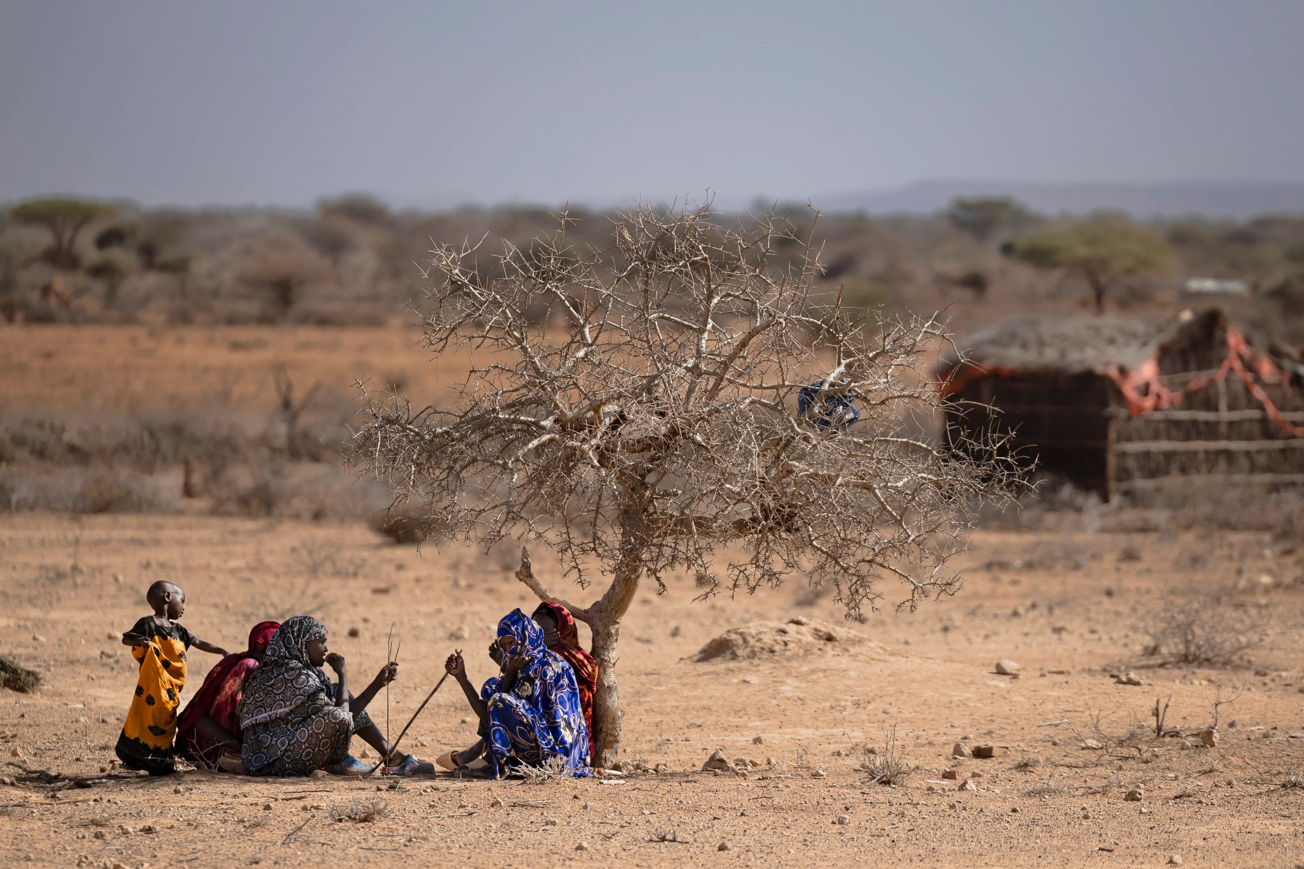 El Niño's Devastating Impact on Women: A Climate Crisis Warning (2026)