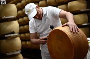Italy’s farmers fight to save iconic parmesan cheese from extinction amid extreme heatwave