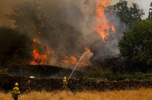 Europe wildfires latest: Bordeaux considering ‘total evacuation of city if necessary’ after blaze spreads further