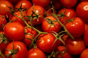 Sainsbury’s strikes deal with British salad producers to tackle food shortage fears