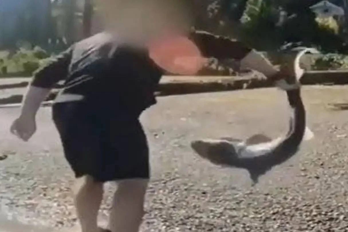 Man accused of filming himself ‘wrestling’ sharks is arrested