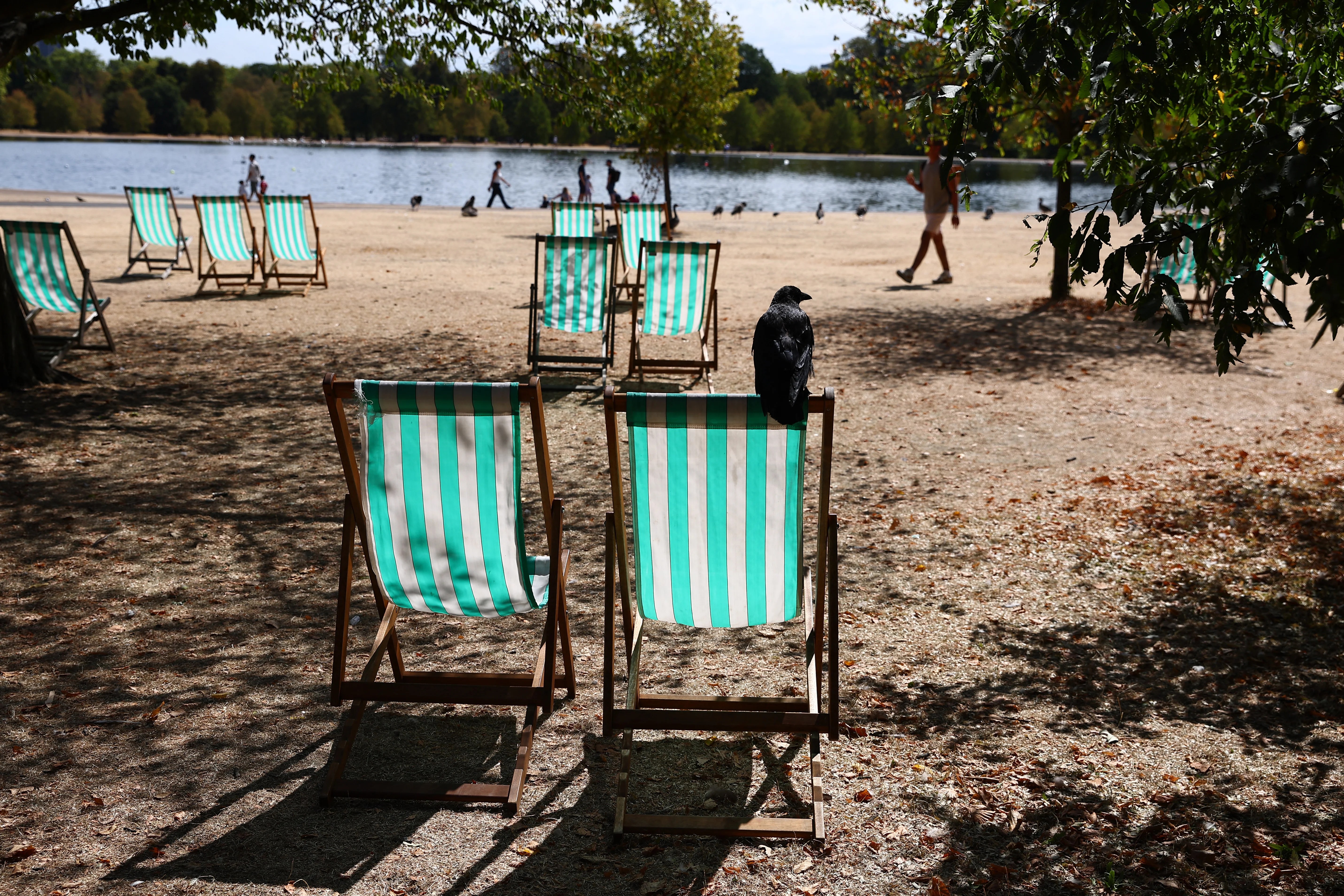 UK's Hottest Summer: Extreme Heat, Wildfires, and Drought (2026)