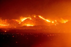 The world is on fire: True scale of devastating blazes wreaking havoc across the globe