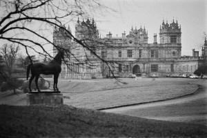 Batman’s Wayne Manor hits back at council over bat survey row (cloned)