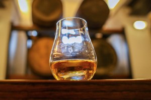 A black fungus is thriving because of Ireland’s whiskey boom – we need to know more about it