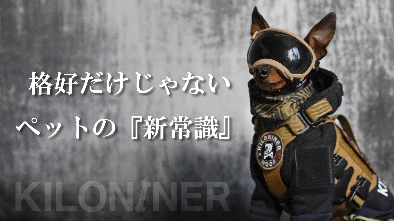 Kiloniner Pets - 4K Sunset Pictures for Desktop