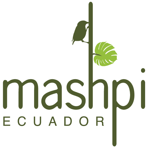 Mashpi Lodge An Expedition Hotel In The Rainforest Official Site