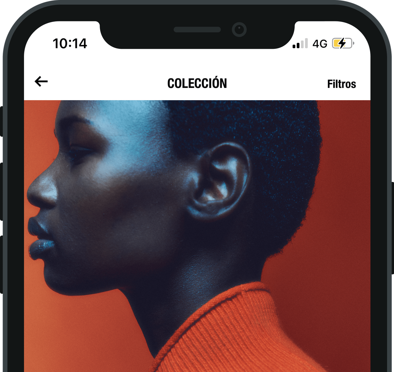 Massimo Dutti Medium - Download Perfect Vintage Design | Retina