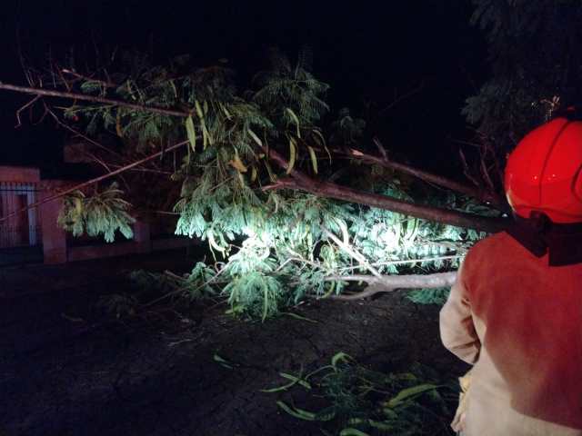 Temporal en Oberá causó destrozos 