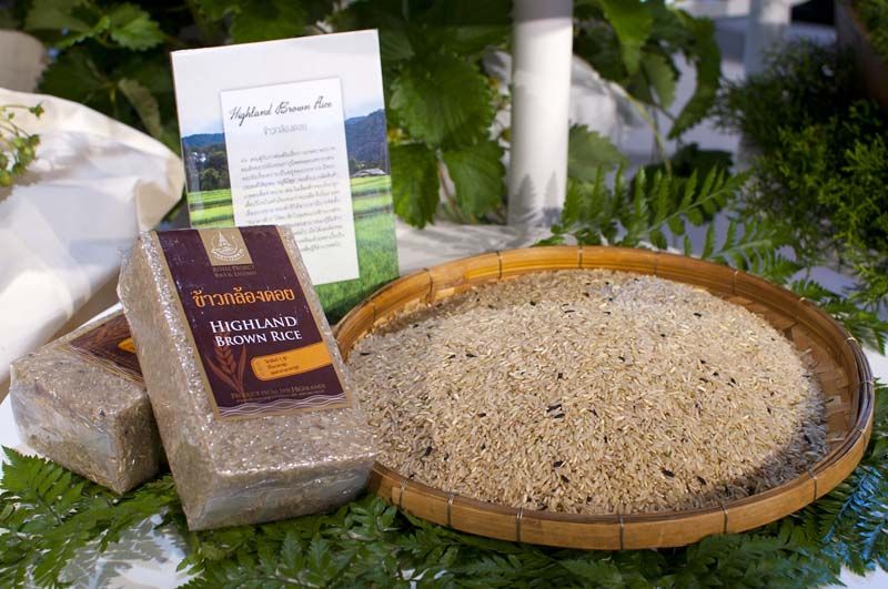 ข้าวกล้องดอย 1 ในอาหารจากแผ่นดิน