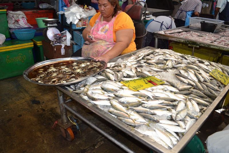 ตอนนี้ต้องสั่งปลาต่างประเทศมากิน