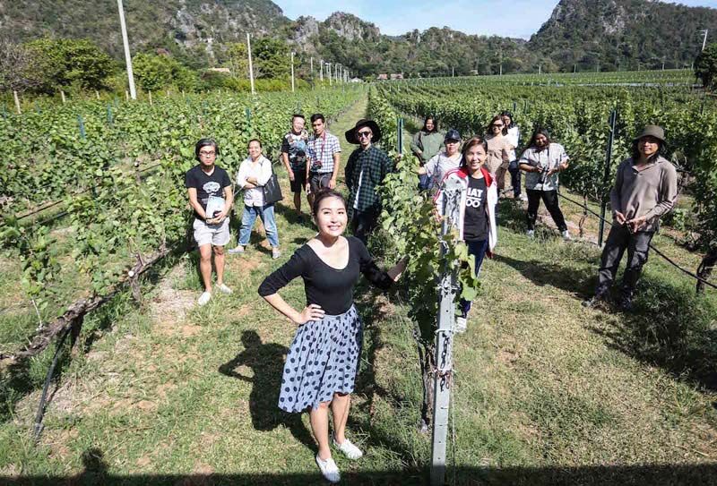 มีมี่-สุวิสุทธิ์ โลหิตนาวี พาคณะทัวร์ไร่องุ่น
