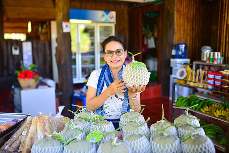 บ้านสวนฟรุ๊ตการ์เด้น อ.ลำปลายมาศ
