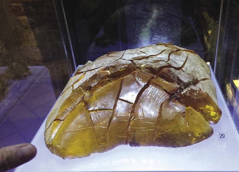 อำพันขนาดใหญ่