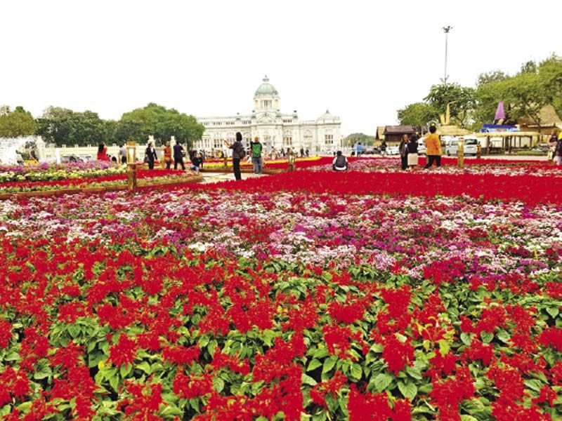 ดอกไม้เต็มพระลาน