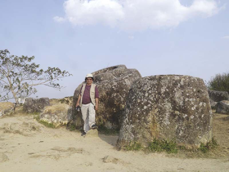 แต่ละใบสูงกว่าคน