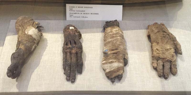 มัมมี่ส่วนมือ