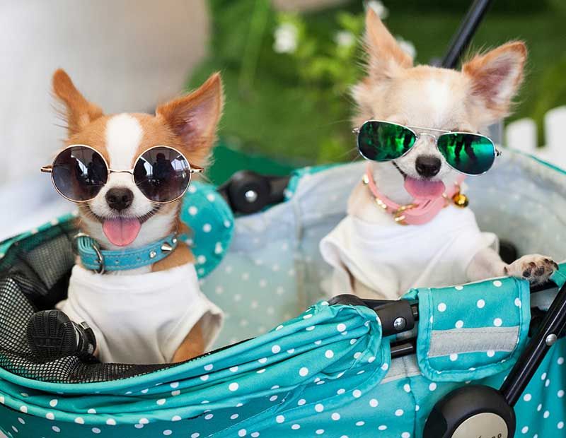 ชายสี่ กะ บะหมี่