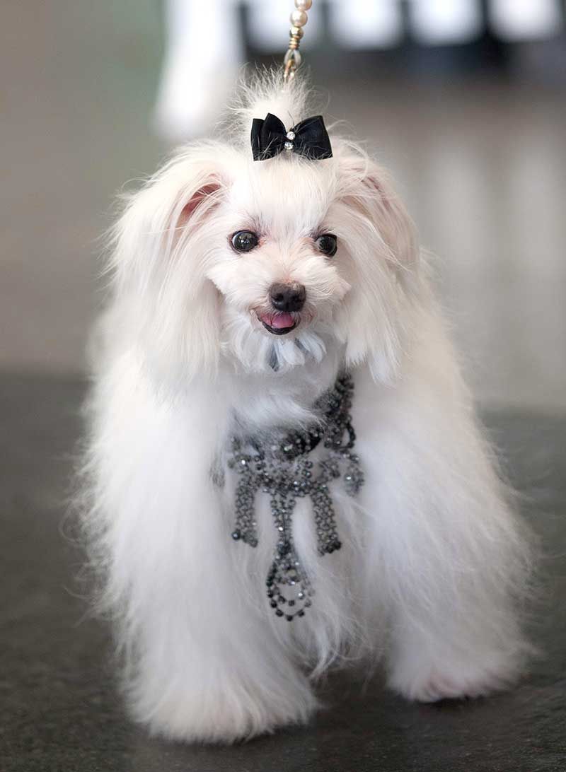 \'น้องชาแนล\' แสนสวย