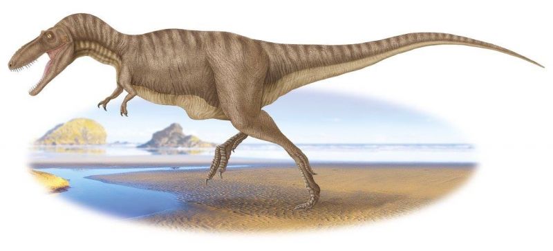 สยามโมไทรันนัส อิสานเอนซิส (Siamotyrannus isanensis)เป็นไดโนเสาร์กินเนื้อขนาดใหญ่ เดิน 2 เท้า ความยาวประมาณ 6.5 เมตร มีขาหลังที่ใหญ่ และแข็งแรง พบเฉพาะกระดูกโคนหาง กระดูกสะโพก และหาง ที่อยู่ในสภาพสมบูรณ์ มีชีวิตในช่วงยุคครีเทเชียสตอนต้น เมื่อประมาณ 130 ล้านปีก่อน พบที่จังหวัดขอนแก่น กาฬสินธุ์ ชัยภูมิ สกลนคร อุดรธานี และนครราชสีมา 