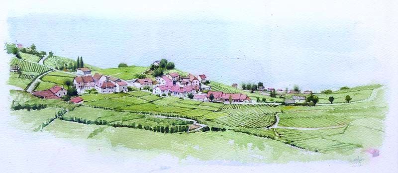 ตามรอยพระบาทไปด้วยใจภักดิ์