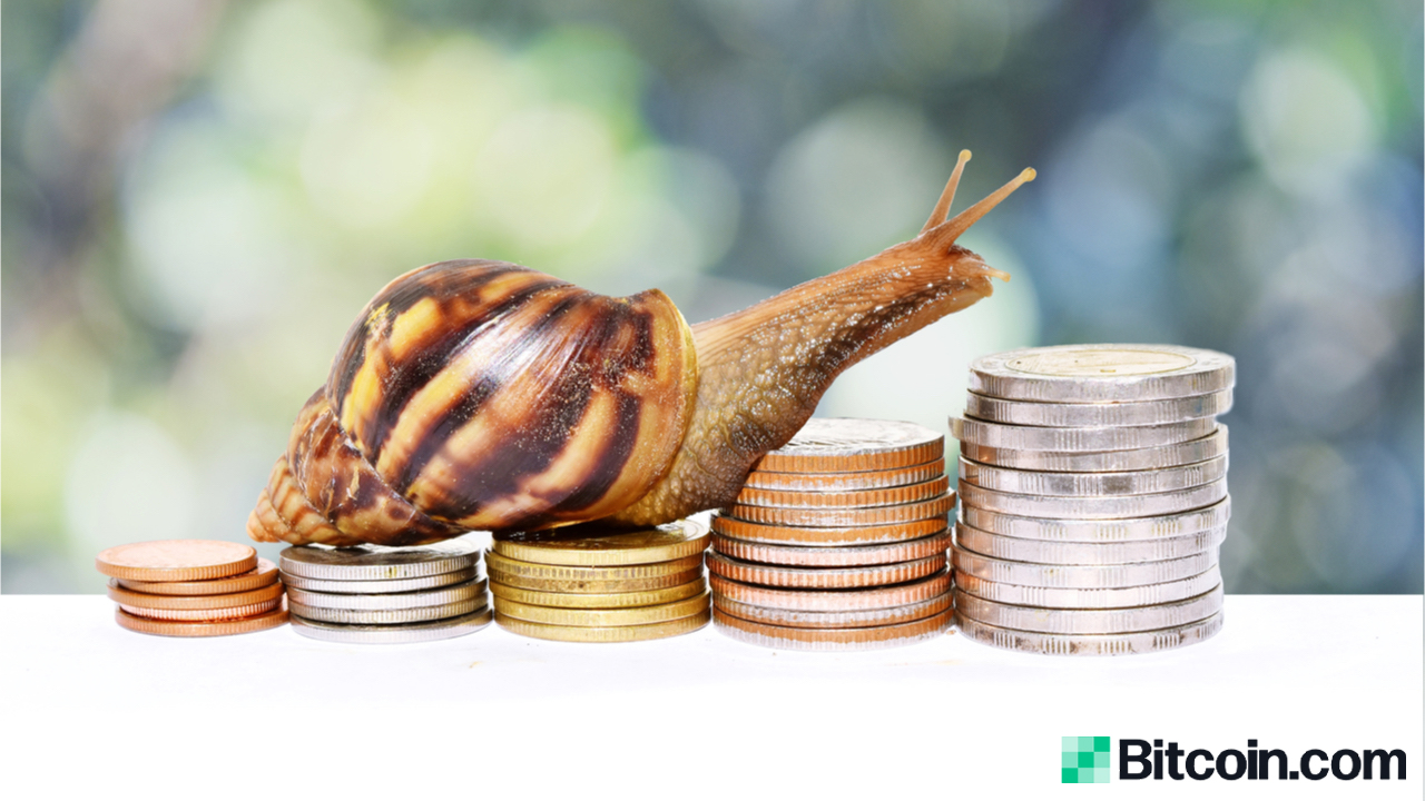 With wide coverage, a proven track record, high. As Crypto Interest Winds Down Bitcoin S Daily Transaction Rate Plummets To Two Year Lows Bitcoin News