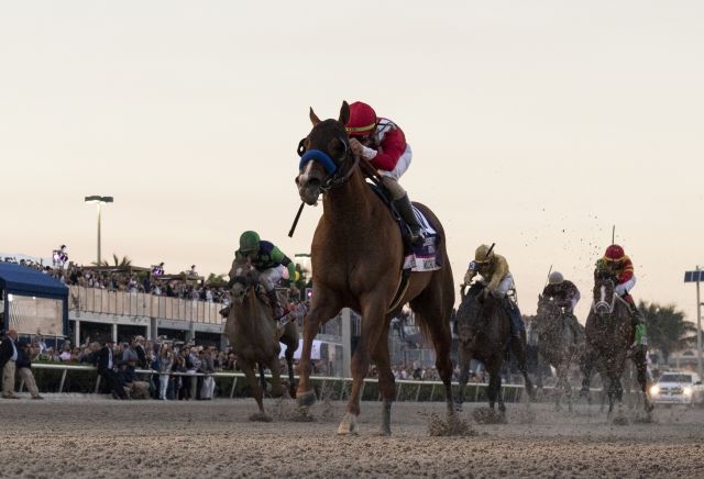 Horse Racing Gulfstream Park Bettor Wins Over 500k On 50 Cent Wager