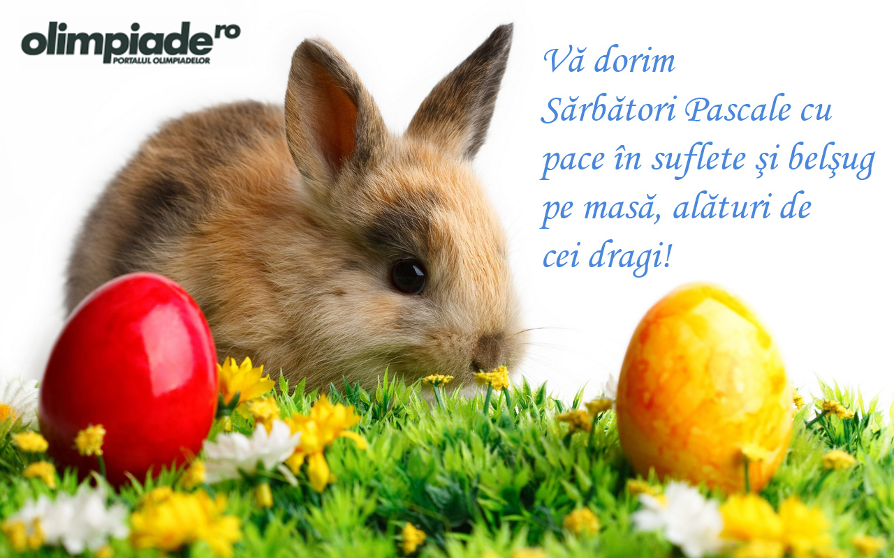 Doc ce ne aduce iepurasul? Paste Fericit Olimpiade Ro