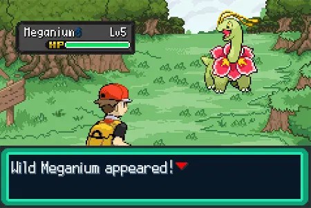 Pokemon Firered Extended Version Pokemoncoders - Ocean Photos - Gorgeous High Resolution Collection