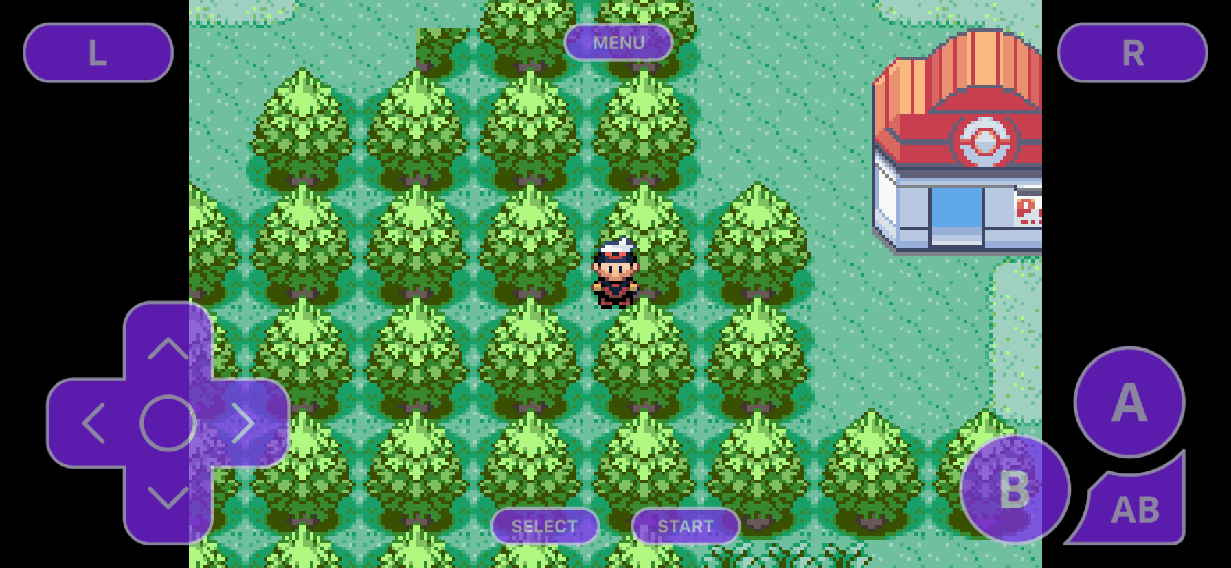 All Pok Mon Ruby Cheats Complete List - Vintage Photo Collection - High Resolution Quality