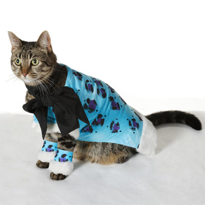 Leopard Kitty Outfit Favecrafts Com