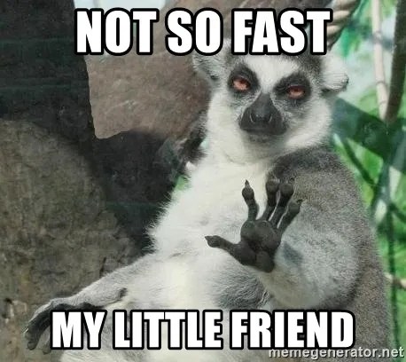 Not So Fast