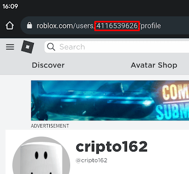 How To Find Your Roblox Player ID Desktop Mobile Roblox Den Image B15049197c 