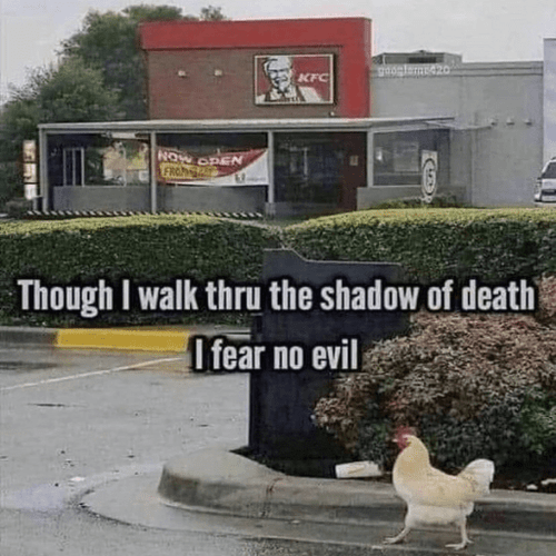 Page 34 10M Roblox Image IDs Search All Decal IDs 2026 Roblox Den Small Funny Chicken Meme B64c46c2e4 