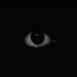 Page 5 10M Roblox Image IDs Search All Decal IDs 2026 Roblox Den Xsmall Creepy Eye 2f7223defb 