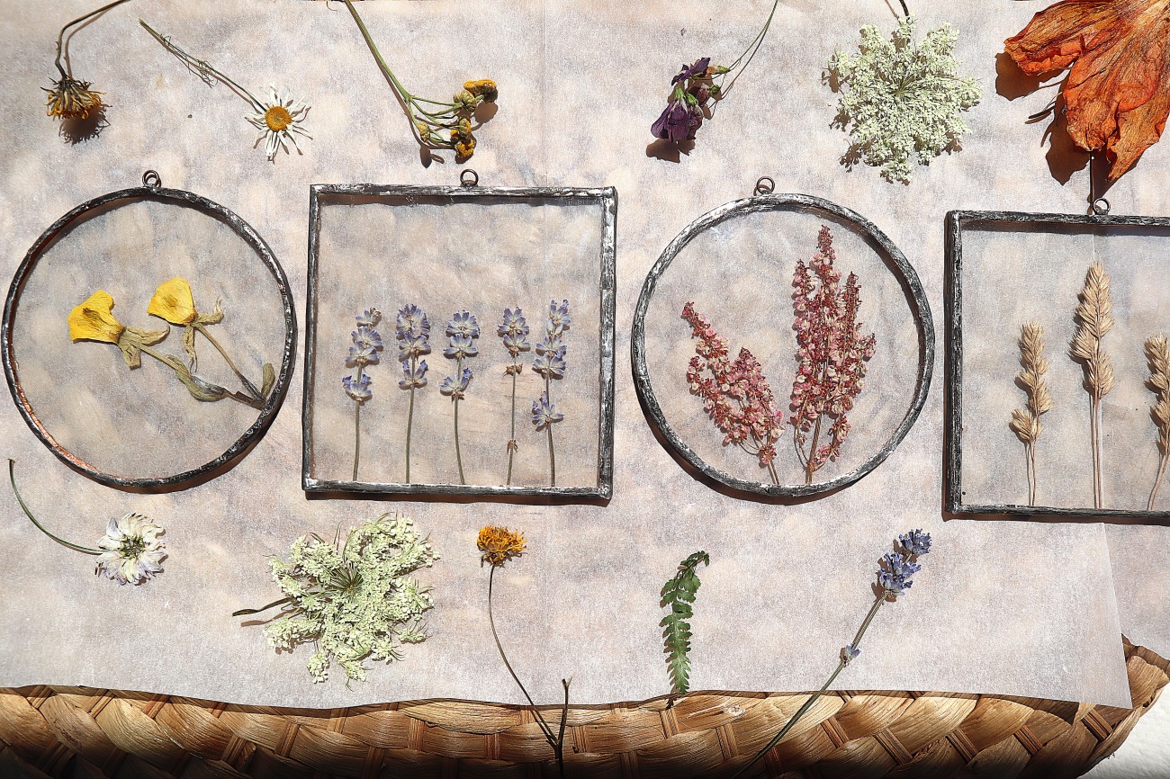 minimalistické kvetinové radosti Mandrake / SAShE.sk