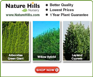 2024 Gardening Holidays, Special Days, Events and Observances. By Garden Hobbies. (3) 2024 Gardening Holidays, Special Days, Events and Observances. By Garden Hobbies. (3)