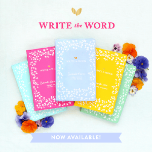 Write the Word Bible Journals
