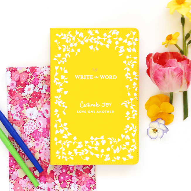 Write the Word Bible Journals