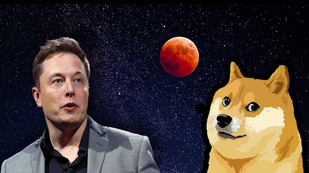 musk-dogecoin Elon Musk’tan Dogecoin anketi: O ve diğerleri