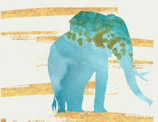 silhouette digital adobe illustrator creating watercolor skillshare class projects