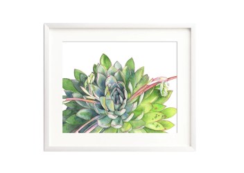 succulent watercolor paint learn painting techniques master skillshare