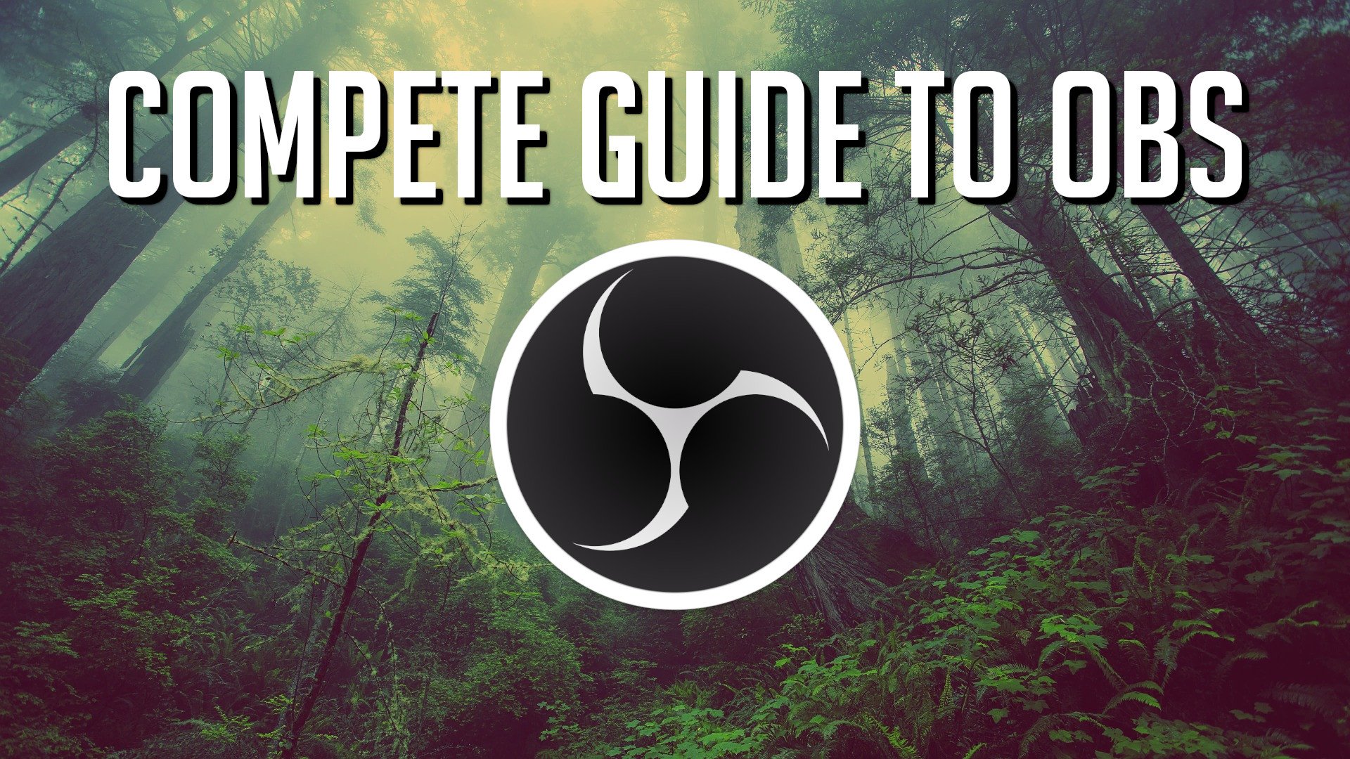 I don't understand how there aren't undo and redo buttons yet. Complete Obs Guide To Recording Streaming Videos Christopher Navarre Skillshare