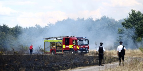 Fire tears through east London park as 90 firefighters tackle blaze