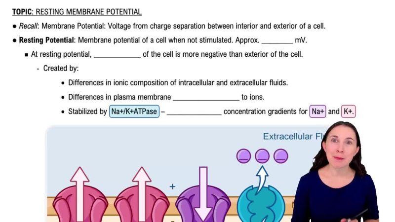 Neuron Function Resting Membrane Potential - Download Classic Abstract Picture | Full HD