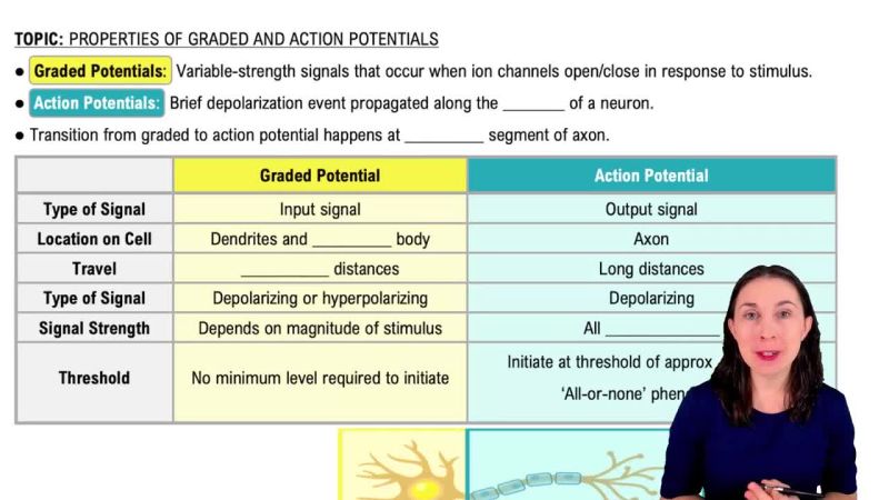 Graded Potentials Example 1 Channels For Pearson - Desktop Vintage Images for Desktop